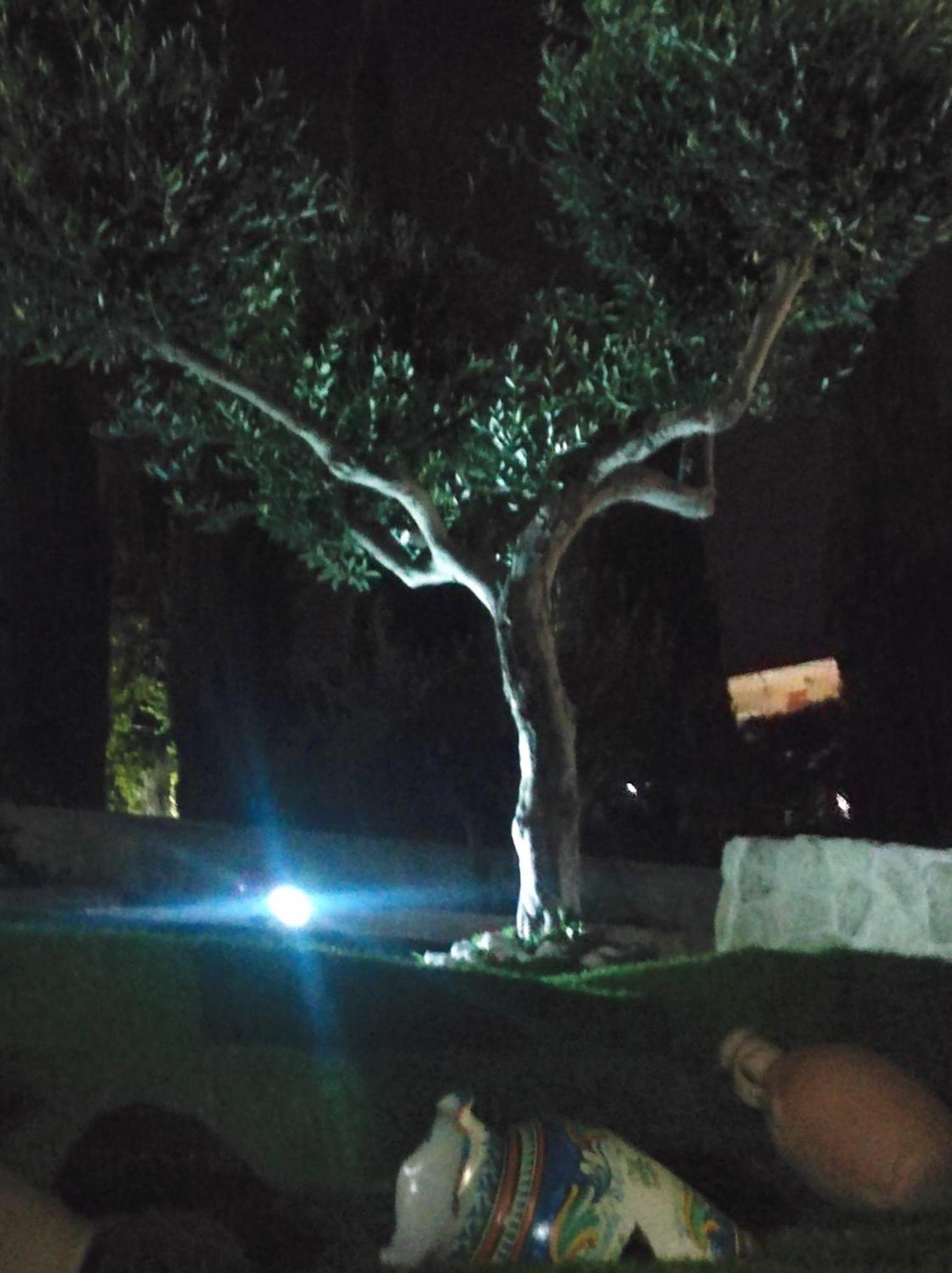 Villa Lory Agrigento Eksteriør bilde